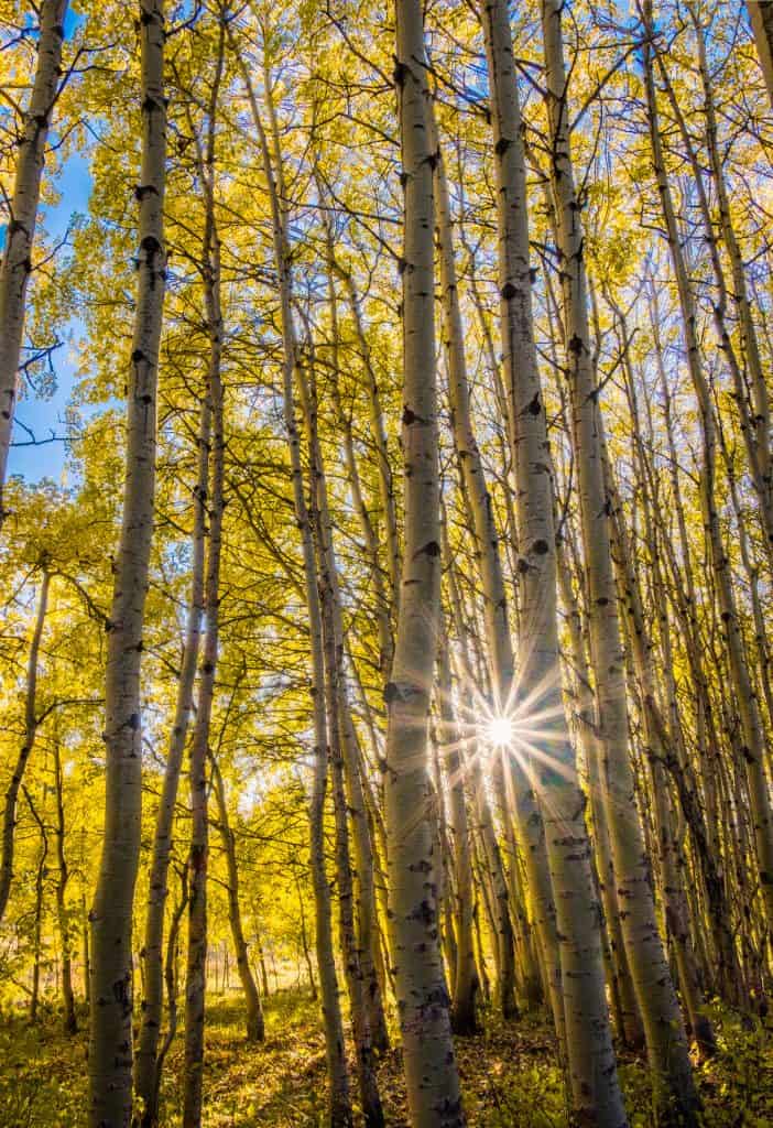 b7-many-glacier-085-hdr-edit