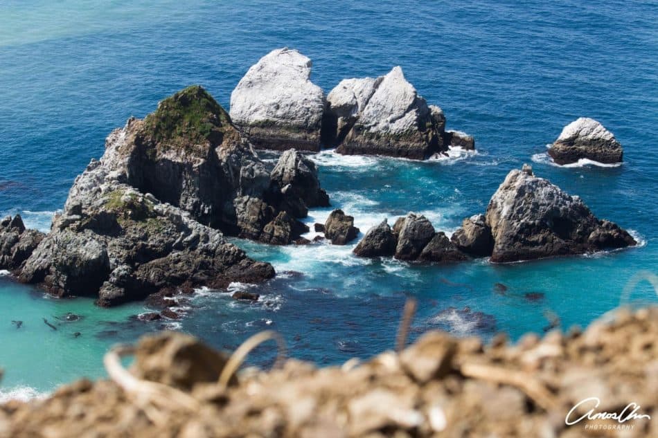 Photographer's guide to Big Sur California