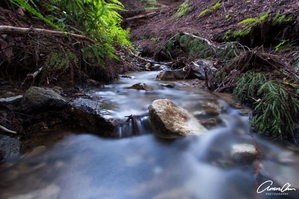 photographer's guide to big sur, california