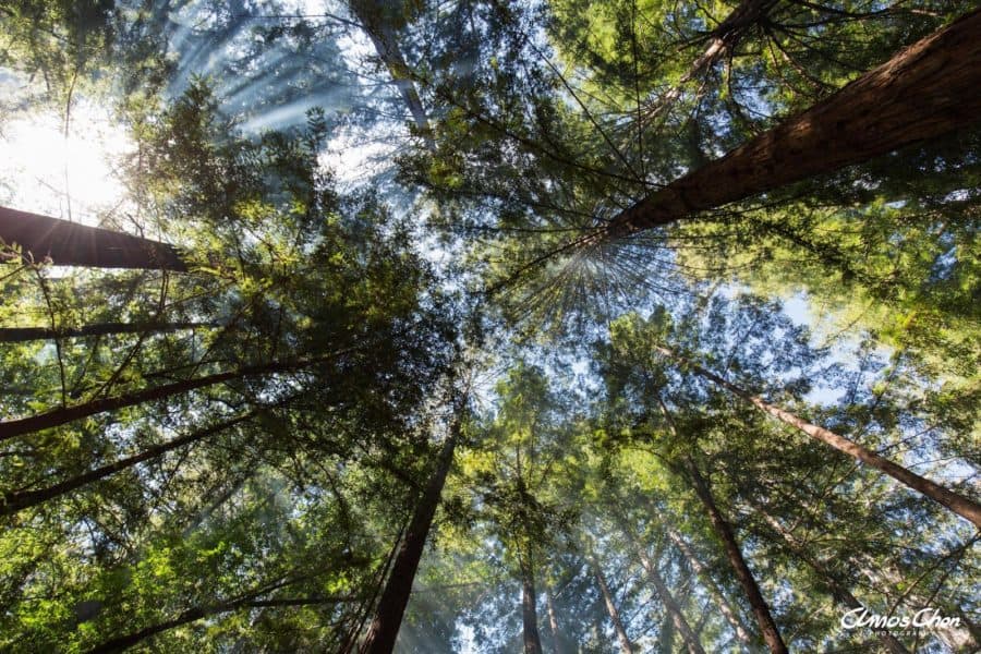 Photographer's guide to Big Sur