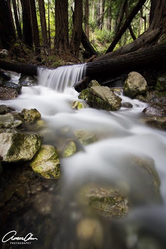 photographer's guide to big sur, california