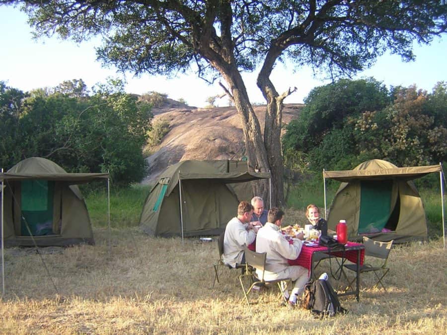 guide to africa safaris